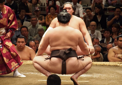 sumo07