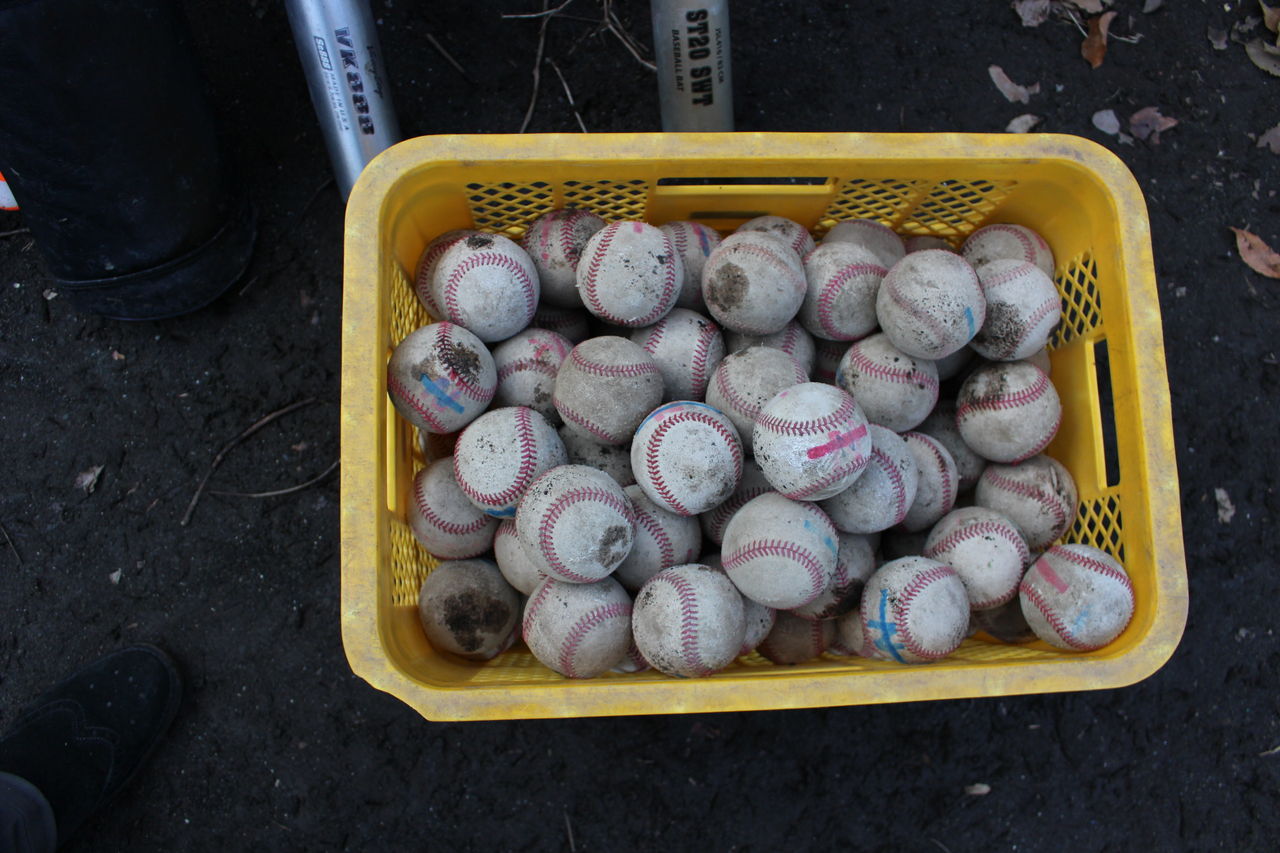 野球の記録で話したい 女子野球への 心配事