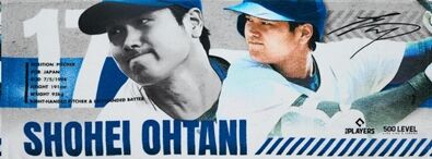 Ohtani-Bat
