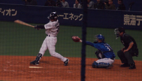 ogasawara-choi