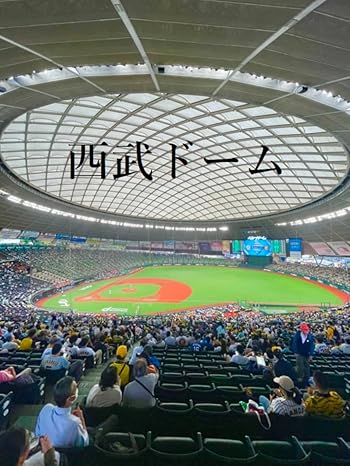 71CAYtkbujL._SY466_