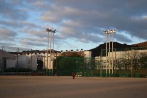 IMG_8459