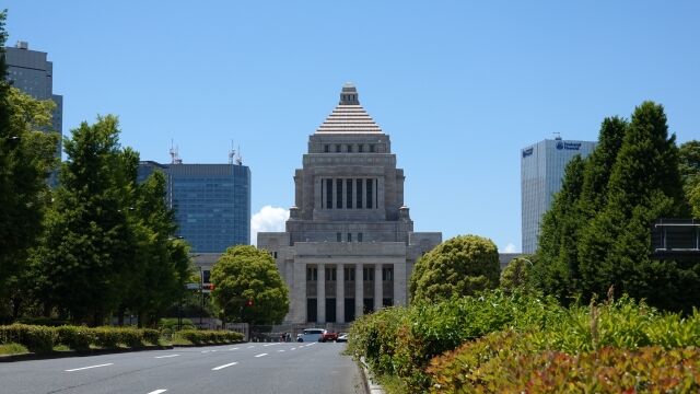 23397805_s