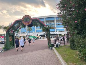 IMG_2508