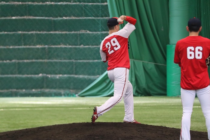 Carp5