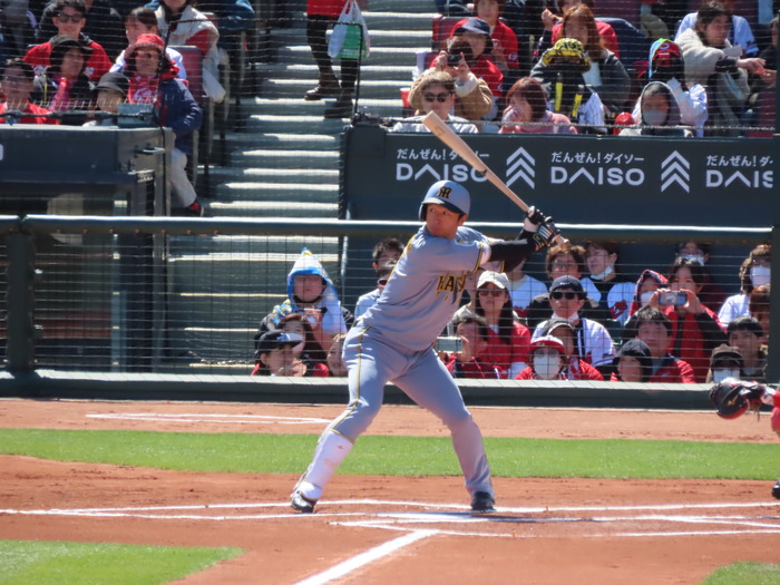 IMG_5270