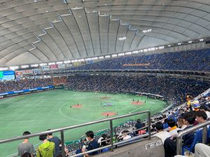 IMG_2381