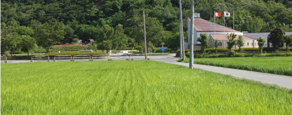 tenji2