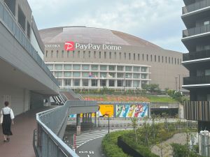 IMG_1389