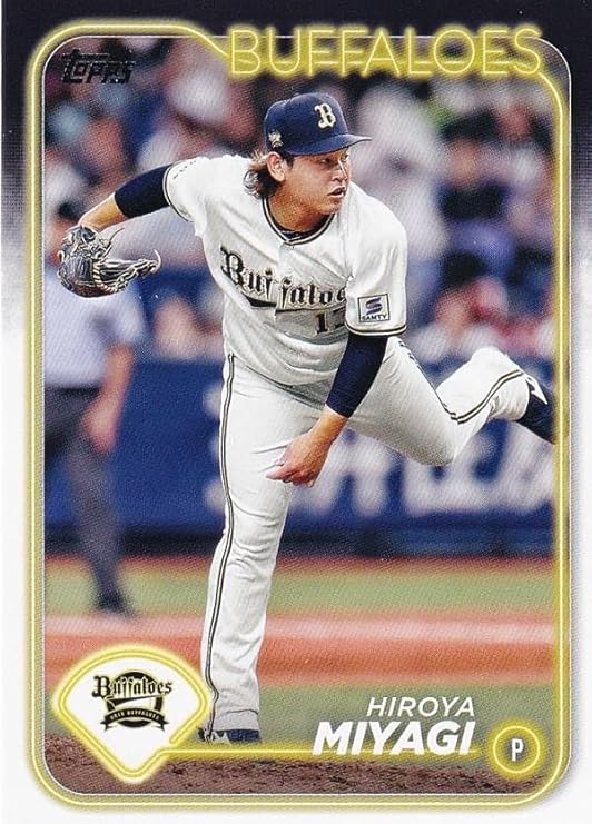 61+NvfDCpuL._AC_SY741_ (1)