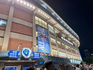 IMG_2226