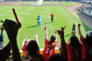 Carp-joshi