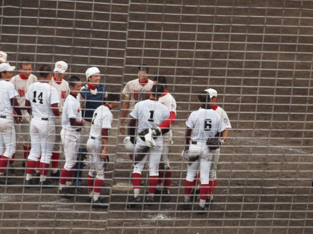 野球の記録で話したい 野球ファンは上手い 下手で野球を見ているわけではない 野球の記録で話したい 野球ファンは上手い 下手で野球を見ているわけではない