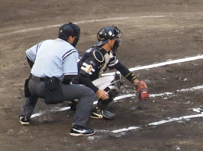 野球の記録で話したい 細山田武史 戦力外に 15npb