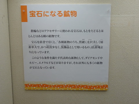 DSC05822