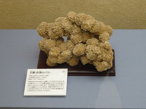DSC05821