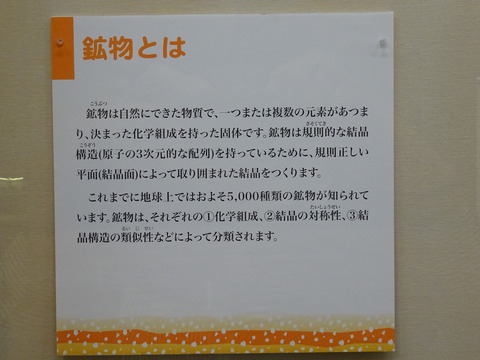 DSC05802