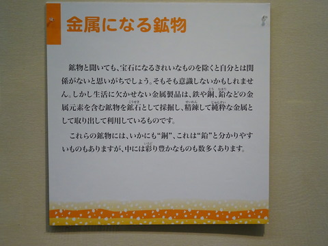 DSC05807