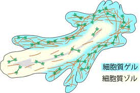 67856DFD-D459-4FE3-830D-C669E8BDA1B1