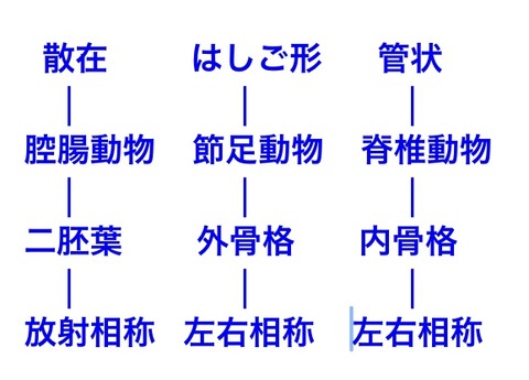 8ABC2979-09BF-4B90-830B-6335DD1F1198