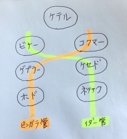 9006FC13-CD0E-4476-99C7-F3B75028A9ED