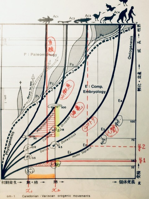 59229FFC-CA9C-4210-8FE4-5D5ED91E76FE