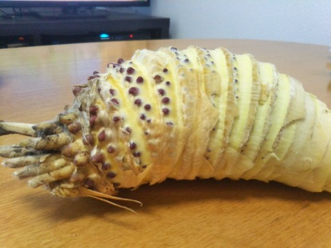 30C19591-56AD-4A86-A720-95CFE82A8054