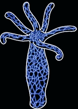 3CDD013A-6E23-480A-B1F5-9B716269D656