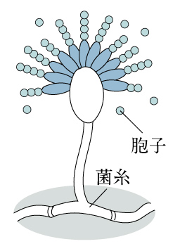 730E0331-BE6D-49F8-B4AF-BBC5F722DC83