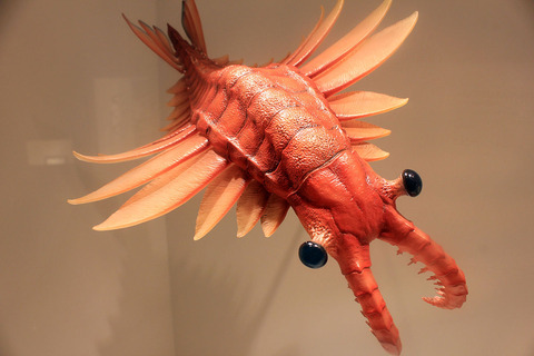 502E76DA-37B0-42D1-BFA1-CB8A328EACEE