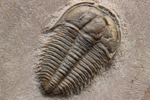 31CE722D-576D-4299-8F3C-55B4598446C8