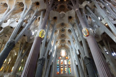 21819647-1DE9-4532-9E37-2D4ADBA7A1ED