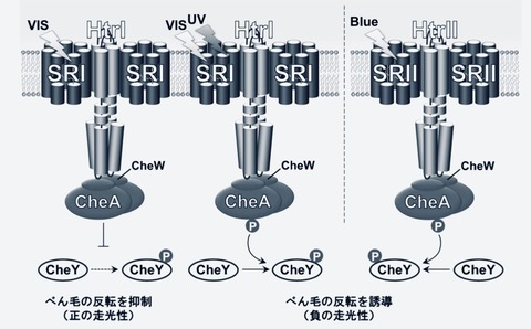 A869CCE5-E93B-4FEE-A9FA-A0F659C4FD9D