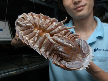 79B72DD6-CEA8-42DE-B641-5F60A88295FD