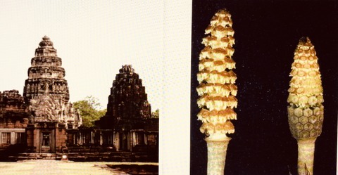 8DA75973-D45C-4786-B42B-651885545420