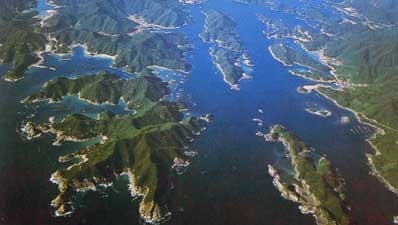 96BF7723-6B36-4338-81DC-B7FEC97C4915