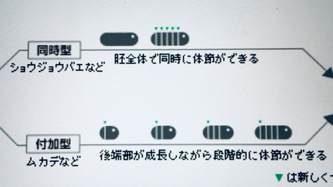 5BCDE9E0-83D7-40B7-A384-C5EFC7759112