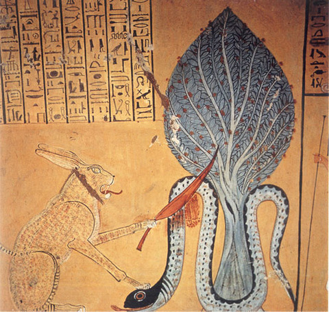 FB509B07-7AED-419A-B954-42DF0102950F