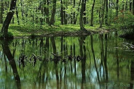 8BBB1E4C-3F71-405F-9E6D-E035D1DC901C