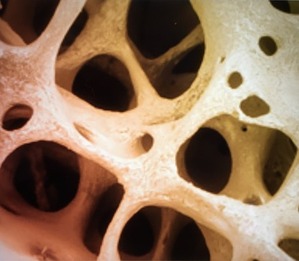 A912FA14-7E71-4CB0-BBC3-EC37C95993B7