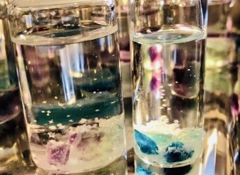 6E556326-01F0-4593-AC9C-4877FB1816ED