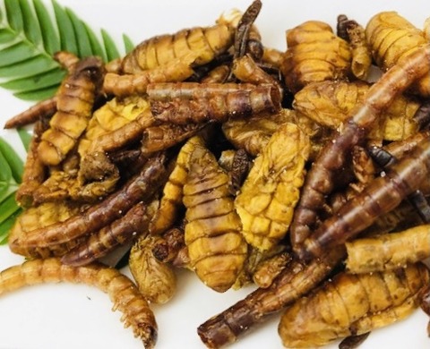 41AEB029-A99D-455F-A11D-4CBFD9DDAD37