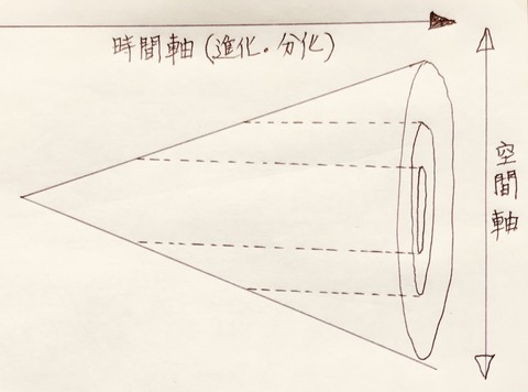 575E519F-B2CF-471E-B29F-C50E5F536BCF