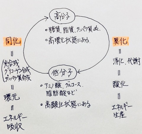 EDD7F1C8-4D24-4D89-9FE4-792759DF6D6C