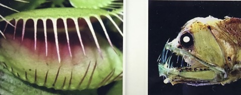 265B9F02-E3DC-4358-8569-AD2D2B6A1B95