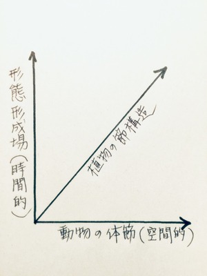 B1912AE1-4C39-444B-B1D2-82C857367365