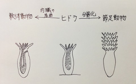 CDFAB661-E2B4-49D8-9698-80934F9C64C7