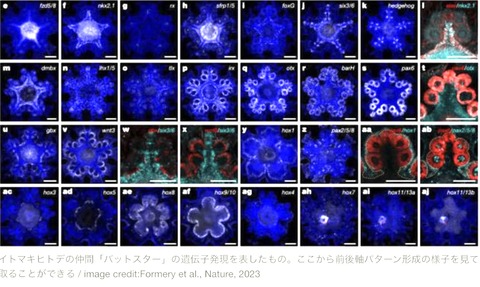 0758541A-B62A-4C28-AFE6-554F563FE5BF