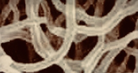 D26B33F1-4735-4F90-87E3-61A25E93AD58