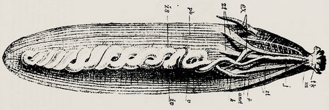 FCB35830-FA57-4D42-83E2-CD5A6319F4BB